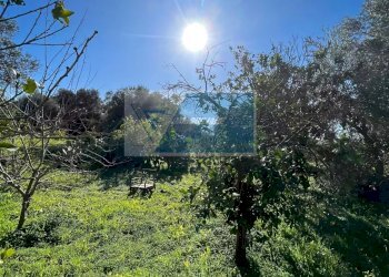 Terreno agricolo Trav. Mulino Marino, Siracusa - foto 7
