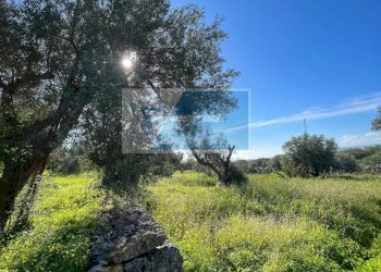 Terreno agricolo Trav. Mulino Marino, Siracusa - foto 8