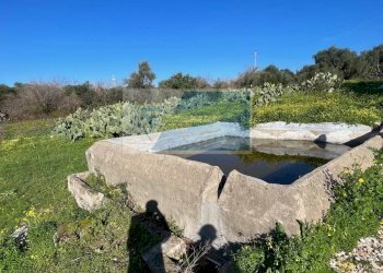 Terreno agricolo Trav. Mulino Marino, Siracusa - foto 9