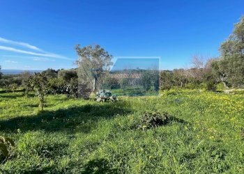 Terreno agricolo Trav. Mulino Marino, Siracusa - foto 10