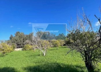 Terreno edificabile Via Del Pettirosso, Siracusa - foto 4