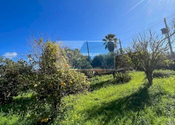 Terreno edificabile Via Del Pettirosso, Siracusa - foto 7