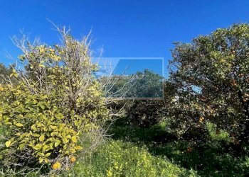 Terreno edificabile Via Del Pettirosso, Siracusa - foto 10