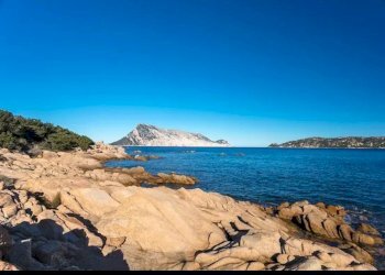 Villa a Schiera San Teodoro - foto 10