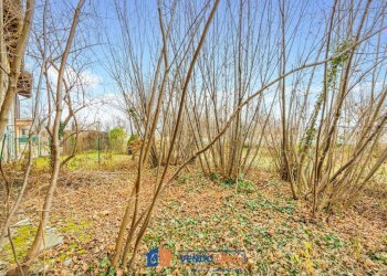 Rustic Boves - photo 19