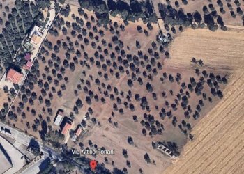 Mappa - Terreno edificabile via Attilio Forlani, 45, Cepagatti - foto 2