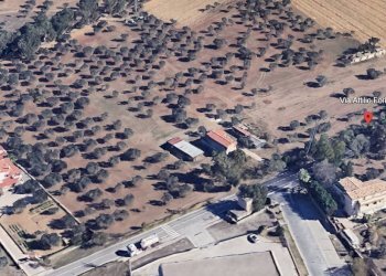 Mappa - Terreno edificabile via Attilio Forlani, 45, Cepagatti - foto 3