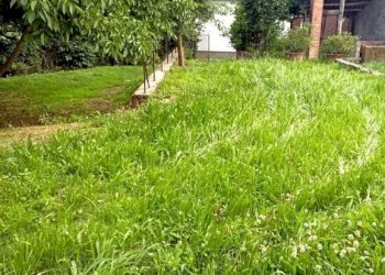 Giardino - Rustic Asti - photo 13