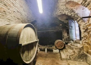 Cantina - Rustic Asti - photo 20