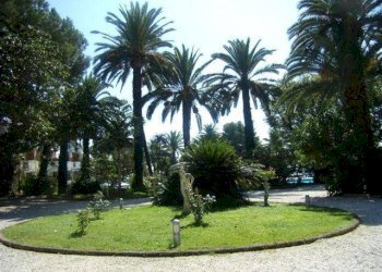 Giardino - Negozio corso Felice Cavallotti, 84, Sanremo - foto 3