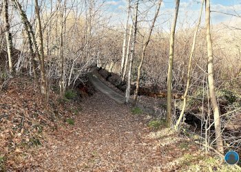 giardino - Casa semi indipendente Via Cave, 434, frazione Villaro, Bagnolo Piemonte - foto 20