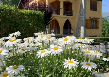 Villa Corso Nizza, 108, Limone Piemonte - foto 68