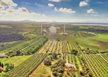 Rustico via delle ginestre, Castiglione della Pescaia - foto 2