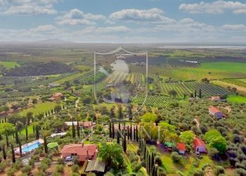 Rustico via delle ginestre, Castiglione della Pescaia - foto 10