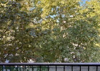 Apartment Parma - photo 26