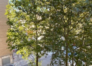 Apartment Parma - photo 30