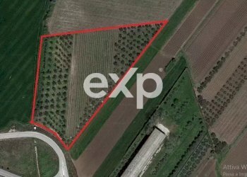 Terreno agricolo S.S., Vasto - foto 1