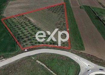 Terreno agricolo S.S., Vasto - foto 2