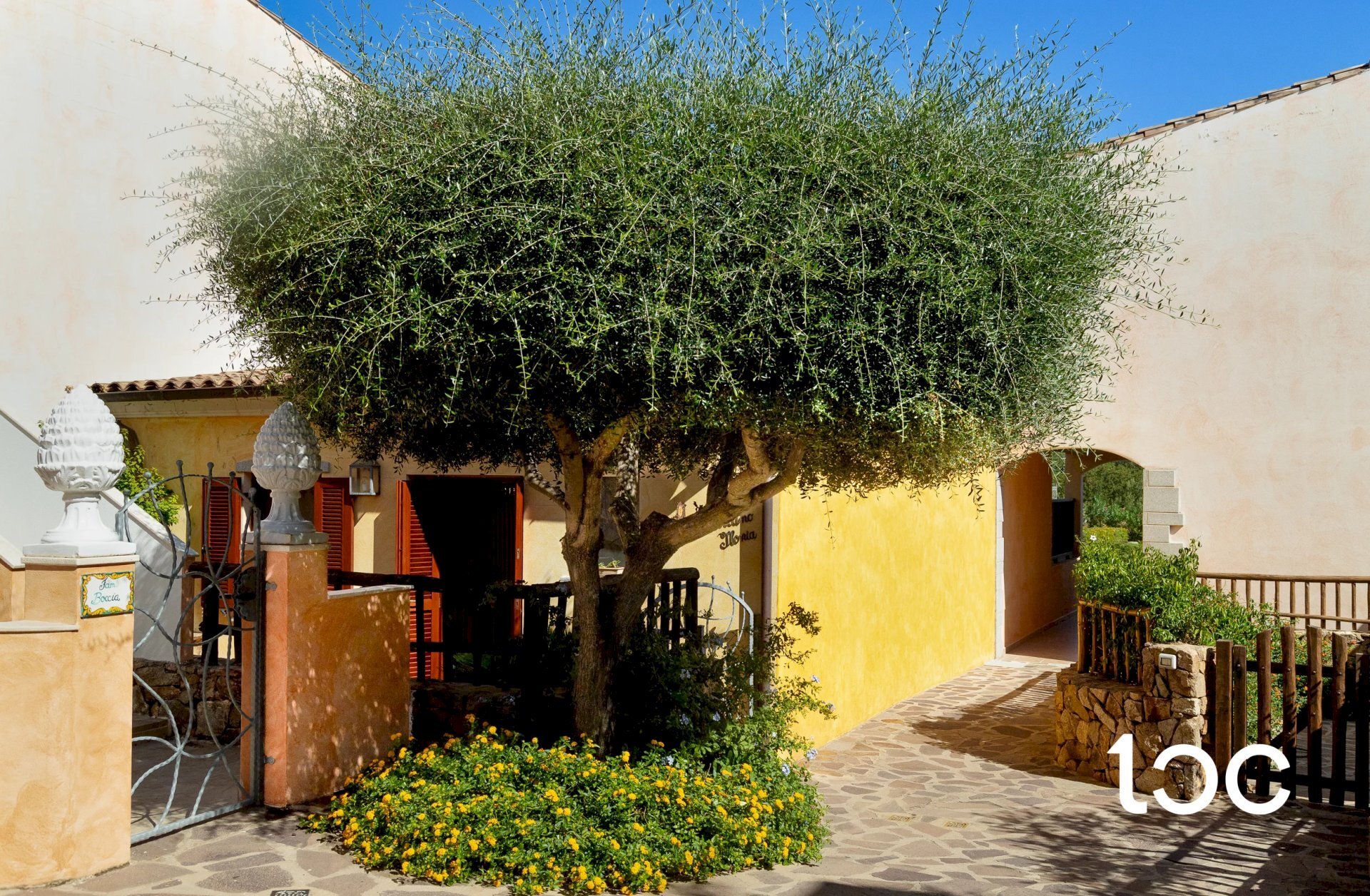 Terraced Villa San Teodoro - photo 2