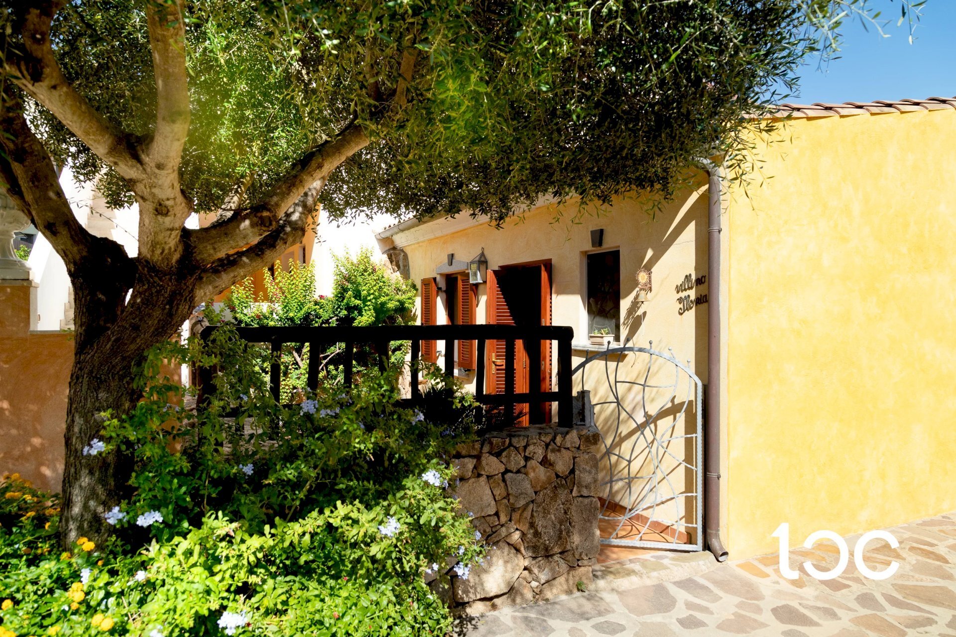 Terraced Villa San Teodoro - photo 3