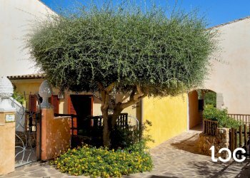 Villa a Schiera San Teodoro - foto 2