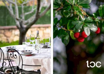 Villa a Schiera San Teodoro - foto 6