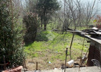 Three-room apartment Corso Galliano Rocco, Pinasca - photo 13