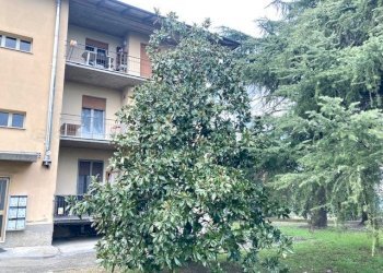 Casa indipendente Castel San Pietro Terme - foto 6