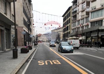 Bar - Tabacchi - Ricevitoria Bergamo - foto 12