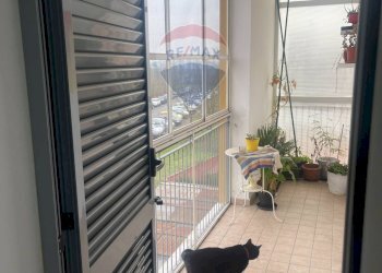 Trilocale Codogno - foto 6