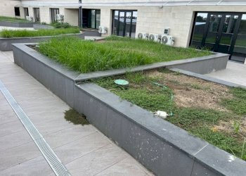 Giardino - Office viale Michelangelo, Volla - photo 21