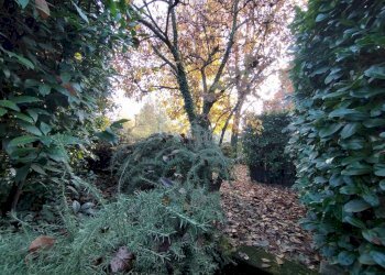 Giardino - Villa via Armando Diaz, Nerviano - photo 47