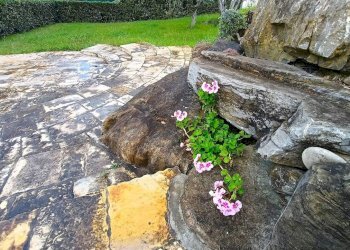 Giardino - Casa indipendente via Botinaccio, Montelupo Fiorentino - foto 4