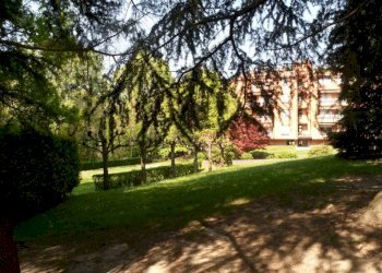 Giardino - Quadrilocale via Fabio Filzi, 22, Varese - foto 22