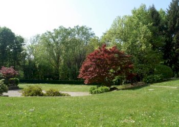 Giardino - Quadrilocale via Fabio Filzi, 22, Varese - foto 24