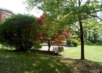 Giardino - Four-room apartment via Fabio Filzi, 22, Varese - photo 28