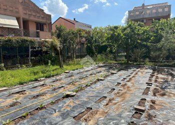 Three-room apartment Via Vincenzo Monti, Robecchetto con Induno - photo 20