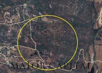 Terreno agricolo loc. via stazzi la murattina, Olbia - foto 2