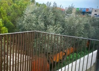 Appartamento Grottammare - foto 7