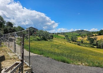 Villa Unifamiliare contrada salette, Fermo - foto 4