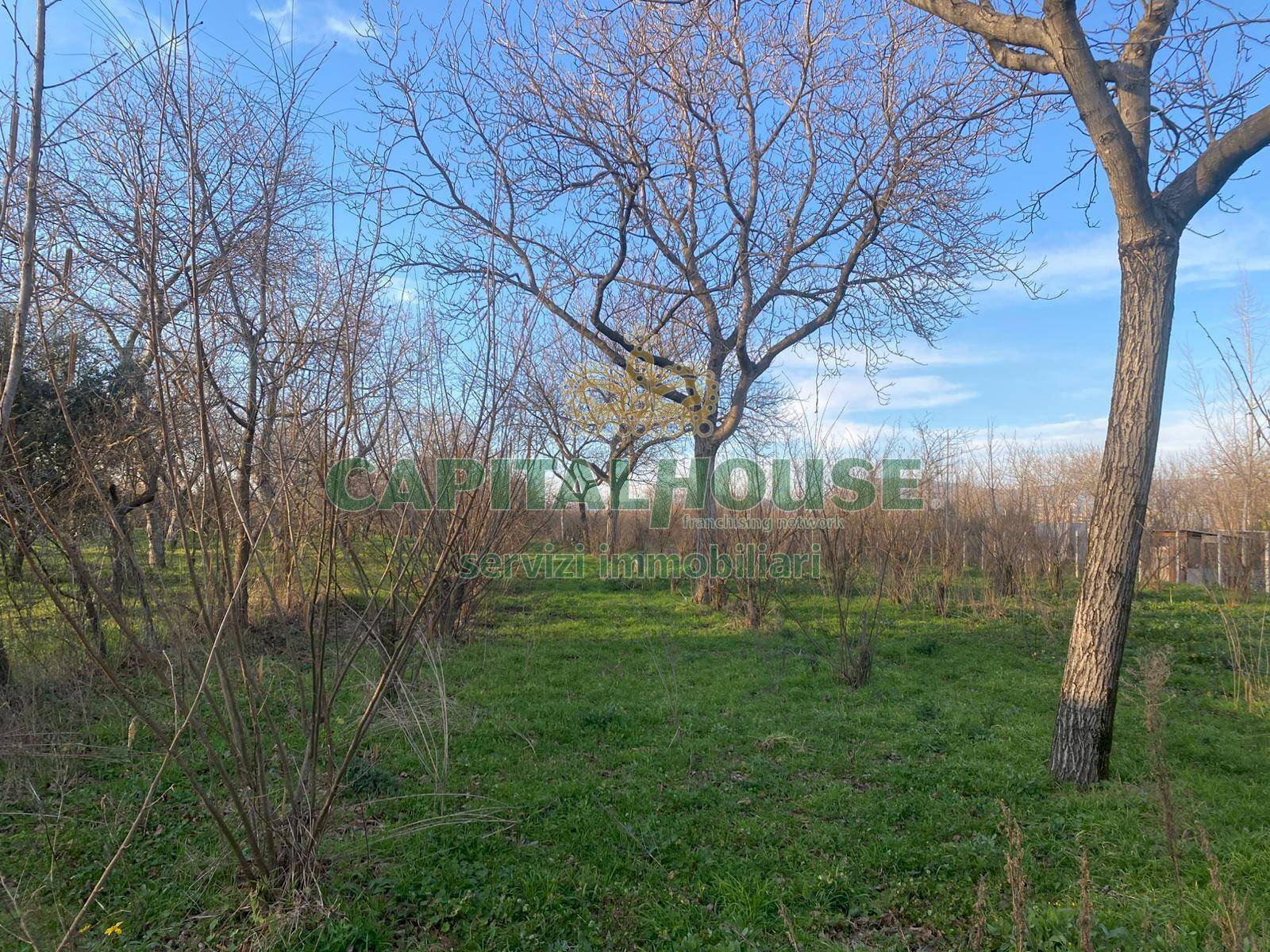 Terreno agricolo Saviano - foto 1