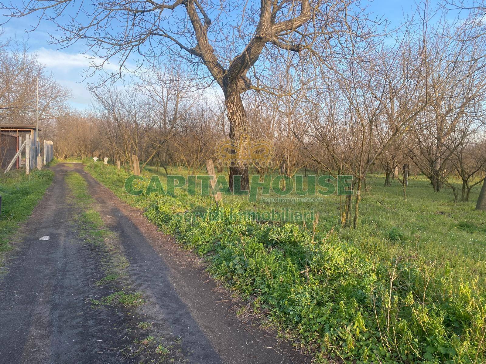 Terreno agricolo Saviano - foto 2