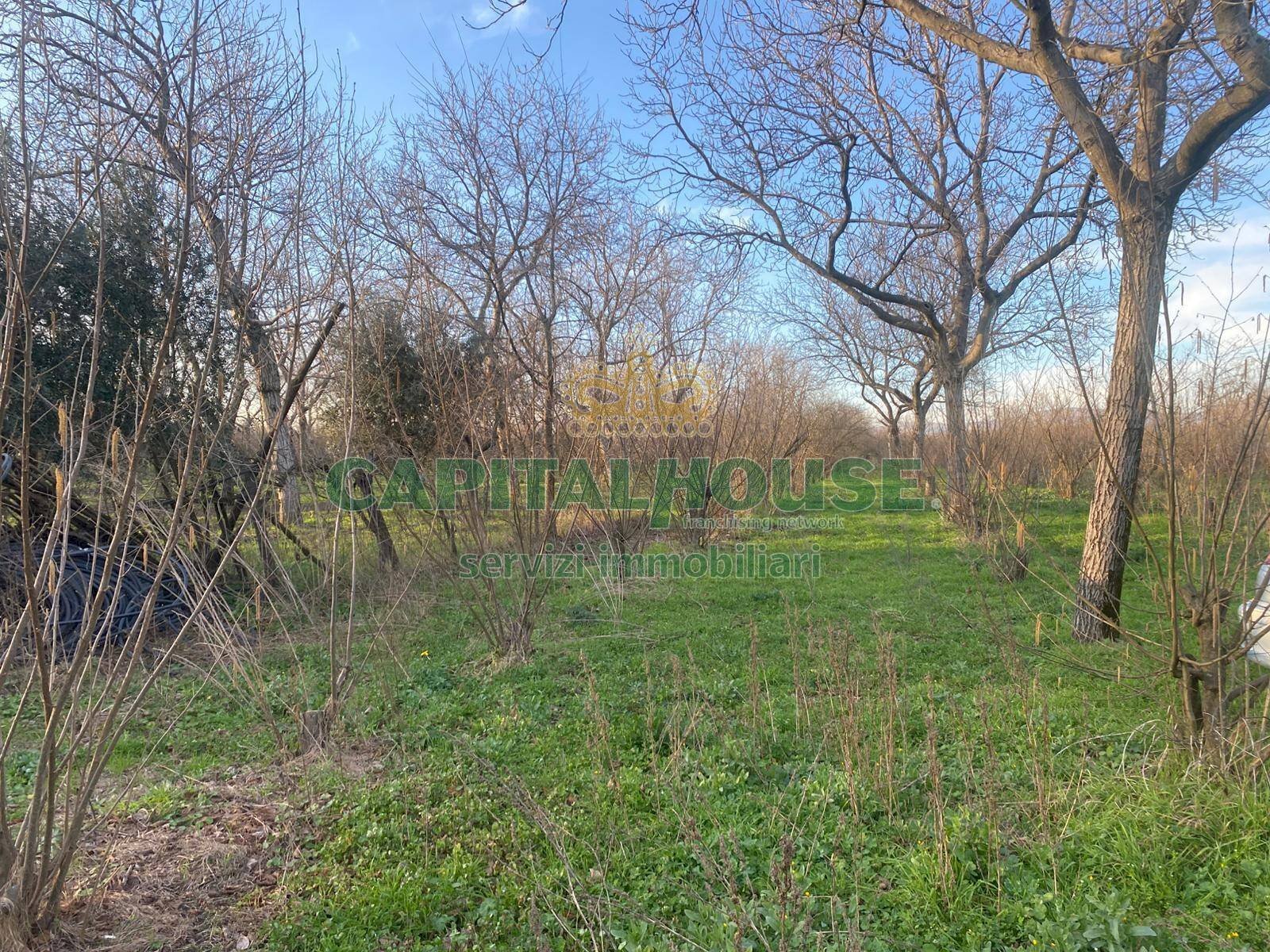 Terreno agricolo Saviano - foto 3
