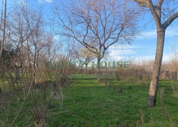 Terreno agricolo Saviano - foto 1