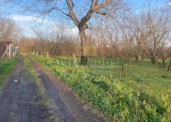 Terreno agricolo Saviano - foto 2
