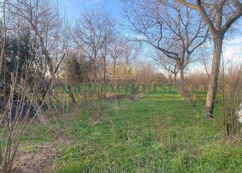 Terreno agricolo Saviano - foto 3