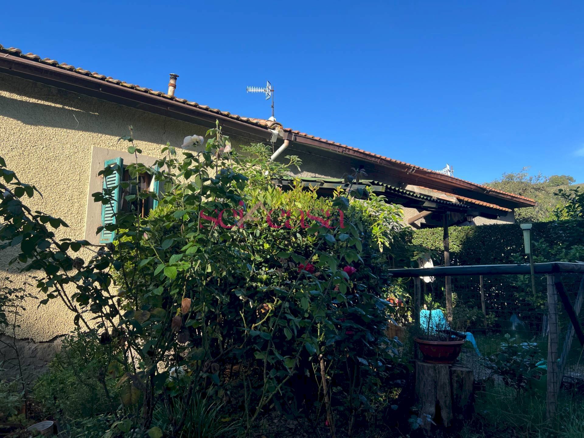 Rustico Scansano - foto 3