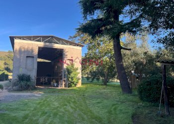 Rustico Scansano - foto 7