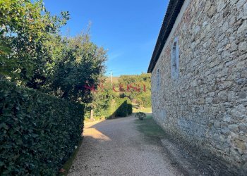 Rustico Scansano - foto 11