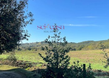 Rustico Scansano - foto 13